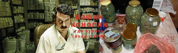 сатива Зеленодольск